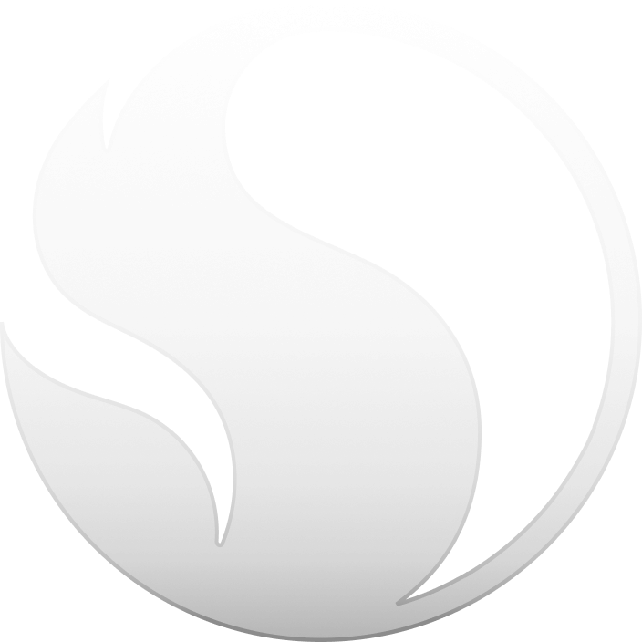Soylu Network Logo